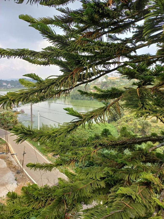 Lake Breeze نوفارا إيلِيا المظهر الخارجي الصورة